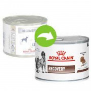 [ROYAL CANIN 法國皇家] 貓/犬用 RECOVERY 康復營養補給配方獸醫處方罐頭 195g x12罐