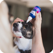 [Vetericyn Plus維特®] 犬貓用 洗眼水 Eye Wash-3oz/89ml