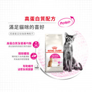 [ROYAL CANIN 法國皇家] 貓用 Feline Preference Protein Exigent Adult 成貓蛋白加强挑嘴配方貓乾糧 2kg