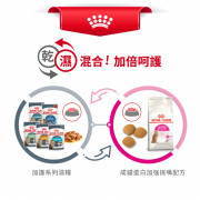 [ROYAL CANIN 法國皇家] 貓用 Feline Preference Protein Exigent Adult 成貓蛋白加强挑嘴配方貓乾糧 2kg