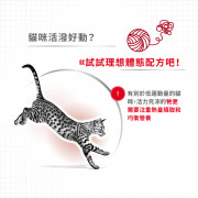 [ROYAL CANIN 法國皇家] 貓用 Regular Fit Adult 成貓全效健康營養配方貓乾糧 15kg