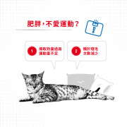 [ROYAL CANIN 法國皇家] 貓用 Light Weight Care Adult 成貓體重控制加護配方乾糧 1.5kg