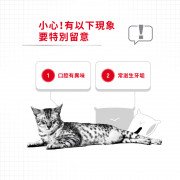 [ROYAL CANIN 法國皇家] 貓用 Dental Care Adult 成貓高效潔齒加護配方乾糧 1.5kg