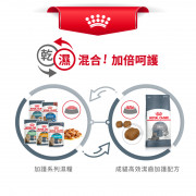 [ROYAL CANIN 法國皇家] 貓用 Dental Care Adult 成貓高效潔齒加護配方乾糧 1.5kg