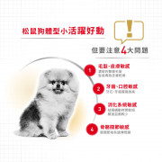 [ROYAL CANIN 法國皇家] 犬用 Pomeranian Adult (Loaf) 松鼠狗成犬專屬主食濕糧（肉塊）鋁袋濕糧 85g x12包