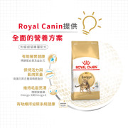 [ROYAL CANIN 法國皇家] 貓用 Bengal Adult 豹貓成貓專屬配方乾糧 2kg