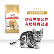 [ROYAL CANIN 法國皇家] 貓用 Bengal Adult 豹貓成貓專屬配方乾糧 2kg