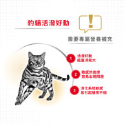 [ROYAL CANIN 法國皇家] 貓用 Bengal Adult 豹貓成貓專屬配方乾糧 2kg