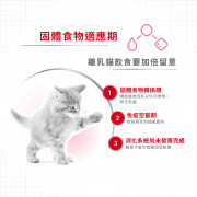 [ROYAL CANIN 法國皇家] 貓用 Mother & Babycat Can 離乳貓及母貓營養主食罐頭 195gx12罐