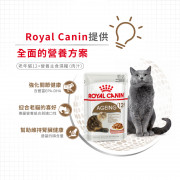 [ROYAL CANIN 法國皇家] 貓用 Ageing 12+ (Gravy) 老年貓12+營養主食濕糧（肉汁）85克