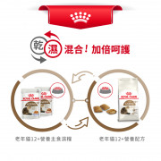 [ROYAL CANIN 法國皇家] 貓用 Ageing 12+ (Gravy) 老年貓12+營養主食濕糧（肉汁）85克