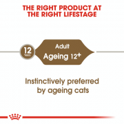 [ROYAL CANIN 法國皇家] 貓用 Ageing 12+ (Jelly) 老年貓12+營養主食濕糧（啫喱）85克