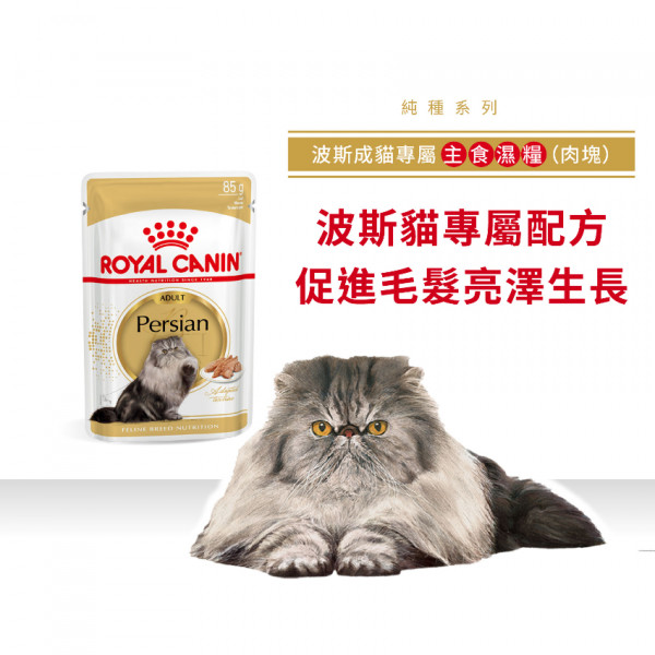 [ROYAL CANIN 法國皇家] 貓用 Persian Adult (Loaf) 波斯成貓專屬主食濕糧（肉塊）鋁袋濕糧 85g
