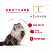 [ROYAL CANIN 法國皇家] 貓用 Persian Adult (Loaf) 波斯成貓專屬主食濕糧（肉塊）鋁袋濕糧 85g