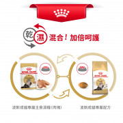 [ROYAL CANIN 法國皇家] 貓用 Persian Adult (Loaf) 波斯成貓專屬主食濕糧（肉塊）鋁袋濕糧 85g