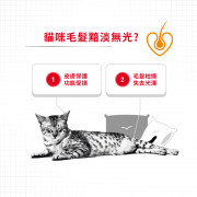 [ROYAL CANIN 法國皇家] 貓用 Hair & Skin Care Adult (Gravy) 成貓亮毛及皮膚加護主食濕糧（肉汁）85克