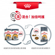 [ROYAL CANIN 法國皇家] 貓用 Hair & Skin Care Adult (Gravy) 成貓亮毛及皮膚加護主食濕糧（肉汁）85克