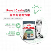 [ROYAL CANIN 法國皇家] 貓用 Digest Sensitive Care Adult (Gravy) 成貓消化道加護主食濕糧（肉汁）85克