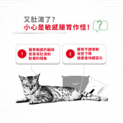 [ROYAL CANIN 法國皇家] 貓用 Digest Sensitive Care Adult (Gravy) 成貓消化道加護主食濕糧（肉汁）85克