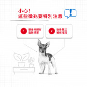 [ROYAL CANIN 法國皇家] 犬用 Light Weight Care Adult (Loaf) 成犬體重控制加護主食濕糧（肉塊）鋁袋濕糧 85g x12包