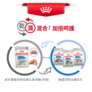 [ROYAL CANIN 法國皇家] 犬用 Light Weight Care Adult (Loaf) 成犬體重控制加護主食濕糧（肉塊）鋁袋濕糧 85g x12包