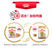 [ROYAL CANIN 法國皇家] 犬用 Poodle Adult (Loaf) 貴婦狗成犬專屬主食濕糧（肉塊）鋁袋濕糧 85g x12包