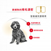 [ROYAL CANIN 法國皇家] 犬用 Poodle Adult (Loaf) 貴婦狗成犬專屬主食濕糧（肉塊）鋁袋濕糧 85g x12包