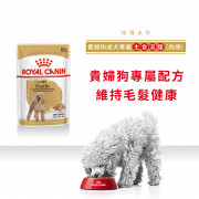 [ROYAL CANIN 法國皇家] 犬用 Poodle Adult (Loaf) 貴婦狗成犬專屬主食濕糧（肉塊）鋁袋濕糧 85g x12包