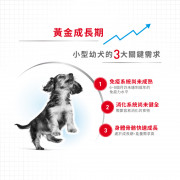 [ROYAL CANIN 法國皇家] 犬用 Mini Puppy (Gravy) 小型幼犬營養主食濕糧（肉汁）鋁袋濕糧 85g x12包