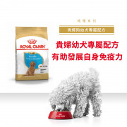 [ROYAL CANIN 法國皇家] 犬用 Poodle Puppy 貴婦狗幼犬專屬配方乾糧 3kg