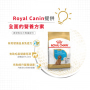 [ROYAL CANIN 法國皇家] 犬用 Poodle Puppy 貴婦狗幼犬專屬配方乾糧 3kg