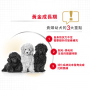 [ROYAL CANIN 法國皇家] 犬用 Poodle Puppy 貴婦狗幼犬專屬配方乾糧 3kg