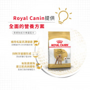 [ROYAL CANIN 法國皇家] 犬用 Poodle Adult 貴婦狗成犬專屬配方乾糧 3kg