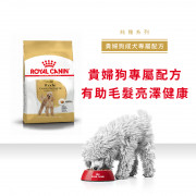 [ROYAL CANIN 法國皇家] 犬用 Poodle Adult 貴婦狗成犬專屬配方乾糧 1.5kg