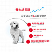 [ROYAL CANIN 法國皇家] 犬用 Maxi Puppy 大型幼犬營養配方乾糧 15kg