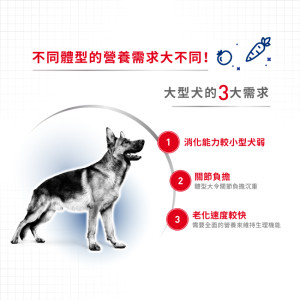[ROYAL CANIN 法國皇家] 犬用 Maxi Adult 大型成犬營養配方 4kg