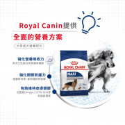 [ROYAL CANIN 法國皇家] 犬用 Maxi Adult 大型成犬營養配方 4kg