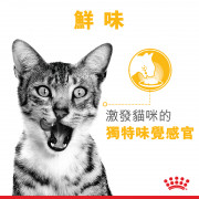 [ROYAL CANIN 法國皇家] 貓用 Sensory Taste (Gravy) 貓感系列 鮮味營養主食濕糧（肉汁） 85克