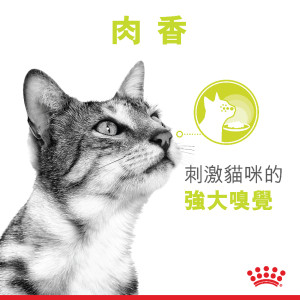 [ROYAL CANIN 法國皇家] 貓用 Sensory Smell (Gravy) 貓感系列 肉香營養主食濕糧（肉汁）85克