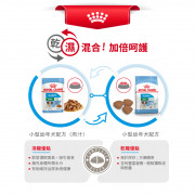 [ROYAL CANIN 法國皇家] 犬用 Mini Puppy 小型幼犬營養配方乾糧 2kg