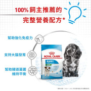 [ROYAL CANIN 法國皇家] 犬用 Mini Puppy 小型幼犬營養配方乾糧 2kg