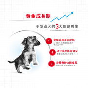 [ROYAL CANIN 法國皇家] 犬用 Mini Puppy 小型幼犬營養配方乾糧 2kg