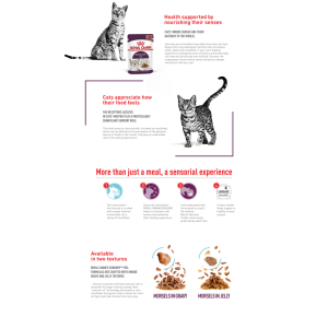 [ROYAL CANIN 法國皇家] 貓用 Multi-Pack Adult Cat (Gravy) 貓感系列 混合裝營養主食濕糧（肉汁）85克 x12包