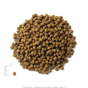 [solid gold 素力高] 貓用 無穀物三文魚室內全貓乾糧 Indoor Cat Salmon, Lentils & Apple Recipe Grain-Free Gluten-Free 3lbs