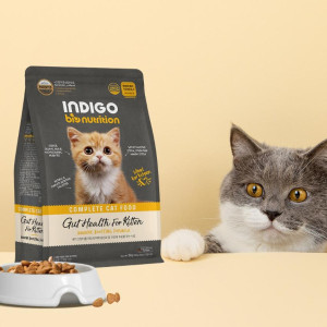 [INDIGO] 貓用 幼貓專用及益生菌腸道保護配方幼貓糧 Gut Health For Kitten 6kg (400g x15包) 