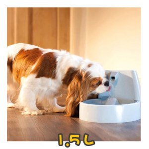 [Drinkwell] 電動寵物噴泉飲水器 (小型犬 / 貓用) 1.5L