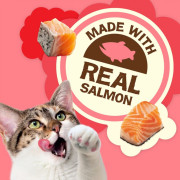 [PartyMix] 三文魚味鬆脆粒貓小食 Natural Yums Salmon Cat Treats -2.1oz